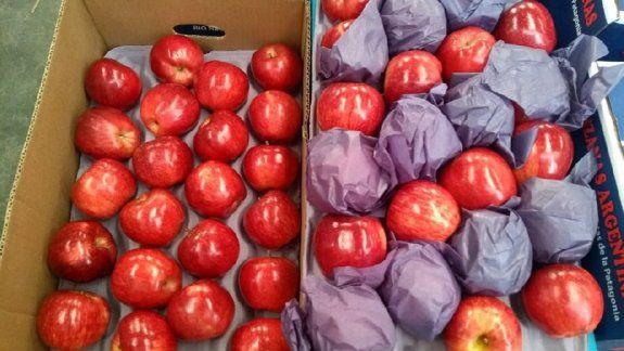 El precio de la manzana crece 15 veces