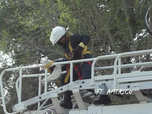 Gato en apuros fue salvado por bomberos en Oro