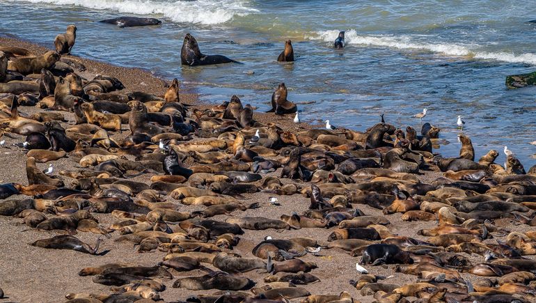 Foto: Matías Acuña.