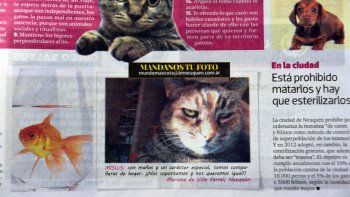 Mandanos la foto de tu mascota a mundomascota@lmneuquen.com.ar.