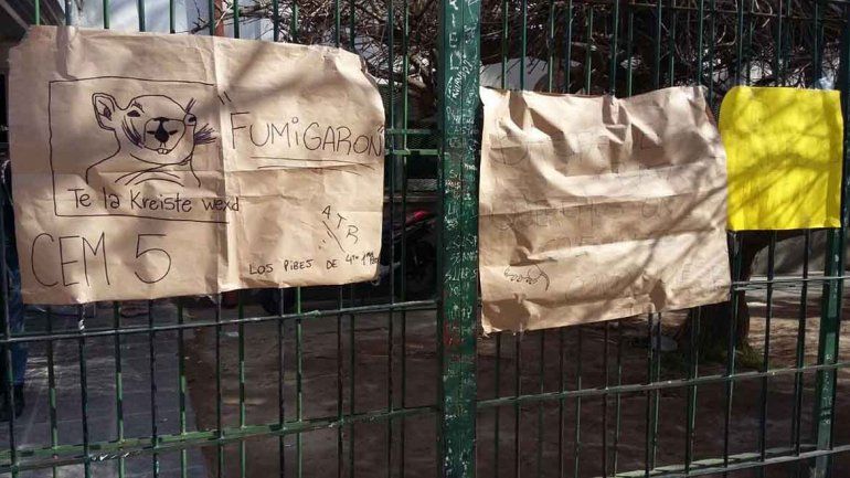 Alumnos del CEM 5 ocuparon la escuela por la presencia de roedores
