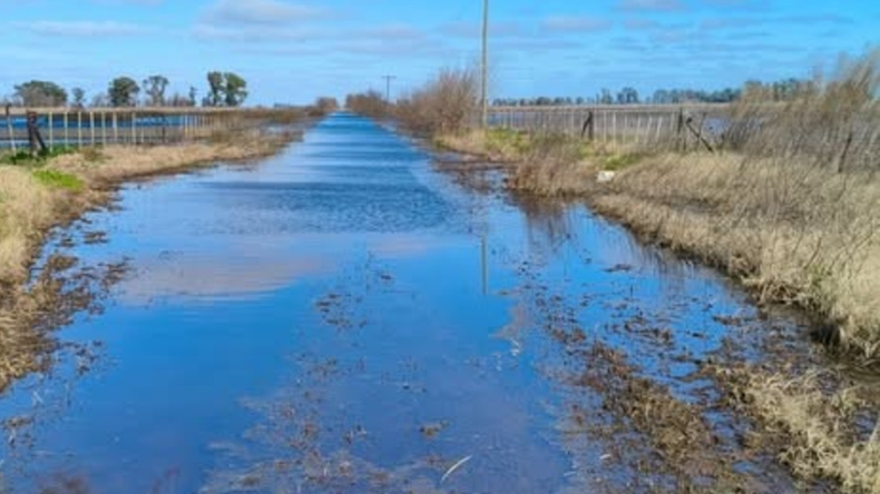 Si hay pagos anticipados, las empresas constructoras deben presentar aval bancario o seguro de caución. Foto: zonacampo.com.ar | LMCipolletti.com Si hay pagos anticipados, las empresas constructoras deben presentar aval bancario o seguro de caución. Foto: zonacampo.com.ar