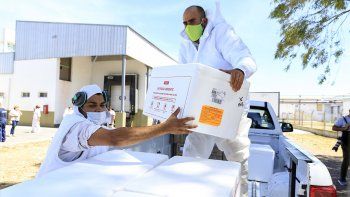 llegan las segundas dosis de la vacuna rusa a cipolletti