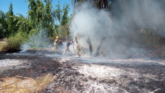 Susto en Cipolletti por dos incendios de pastizales