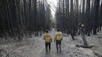 como estaban los incendios en el bolson sobre el cierre del miercoles