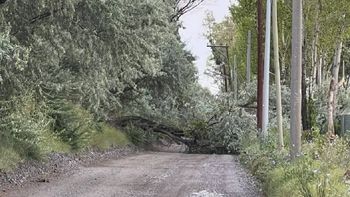 La tormenta afectó el tendido de Edersa en Cipolletti. La tormenta afectó el tendido de Edersa en Cipolletti.