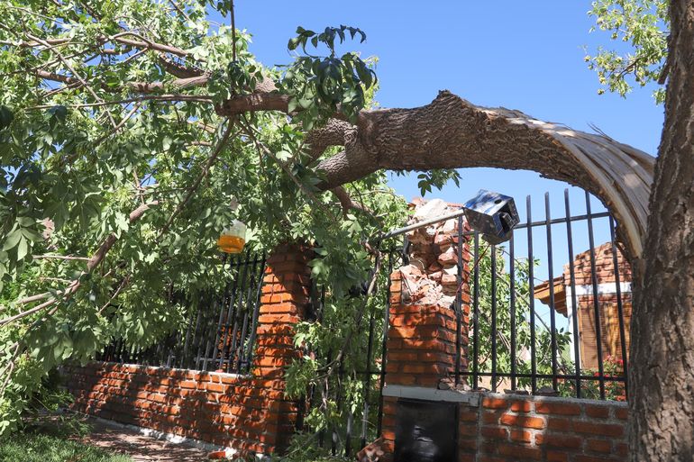 Vecinos de Cipolletti reportaron caídas de pilares de luz, esto provocó que se cortara el suministro eléctrico y que quedaran expuestos cables con corriente en la vía pública.