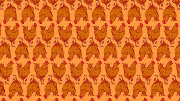 Reto viral en Facebook: ¿sabés diferenciar entre gallinas y gallos?