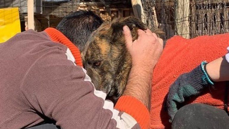 Caballito, Tigre y la historia de dos amigos inseparables que hallaron un hogar juntos