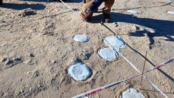la unco hace historia con el hallazgo de 200 huevos fosiles