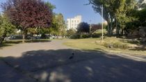 martes frio en el alto valle: dia por dia, como sigue el viento durante la semana