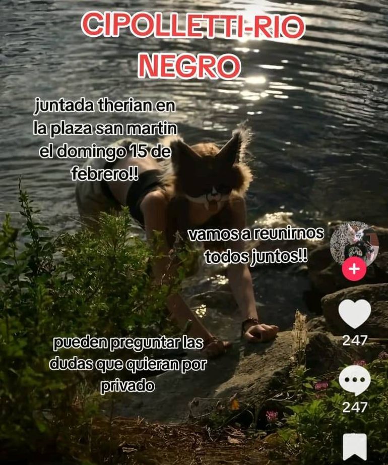 La convocatoria a los Therians de la zona en redes sociales.