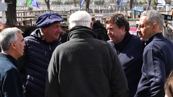 “No aceptamos que Nación cambie las reglas de nuestra ganadería”, dijo el gobernador Alberto Weretilneck. Foto: prensa de Río Negro.