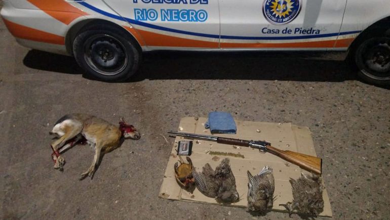 Cazó una liebre, un piche y tres martinetas: la Policía lo descubrió
