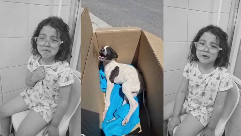 El llanto de Pili que conmovió a la región y un video que exige decir basta al maltrato animal