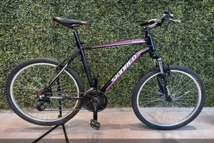 Buscó y pagó para recuperar la bici que le habían robado