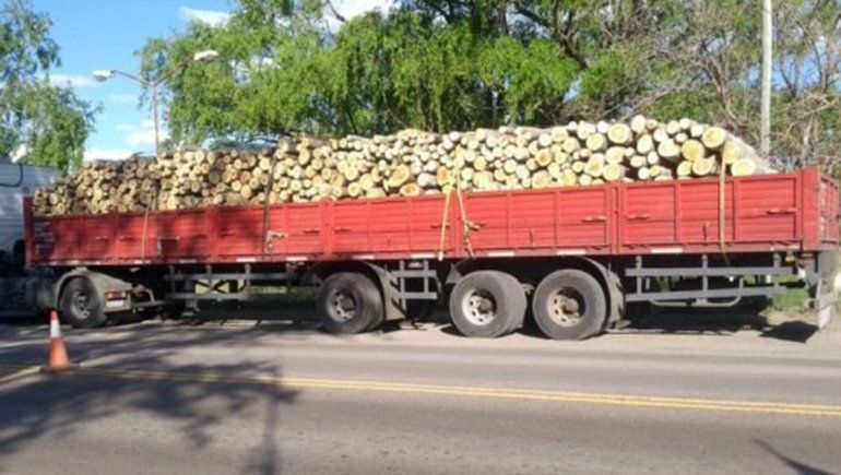 Decomisaron 30 toneladas de leña transportada de manera ilegal