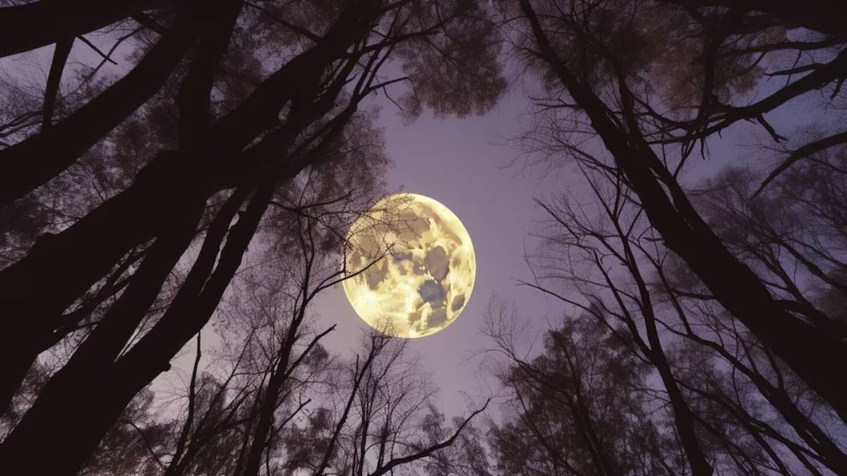 La Luna del Cazador iluminará la noche de este jueves qué es y a qué