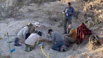El descubrimiento se registró en 25 de Mayo, La Pampa. Fotos: Gentileza (APN La Pampa).