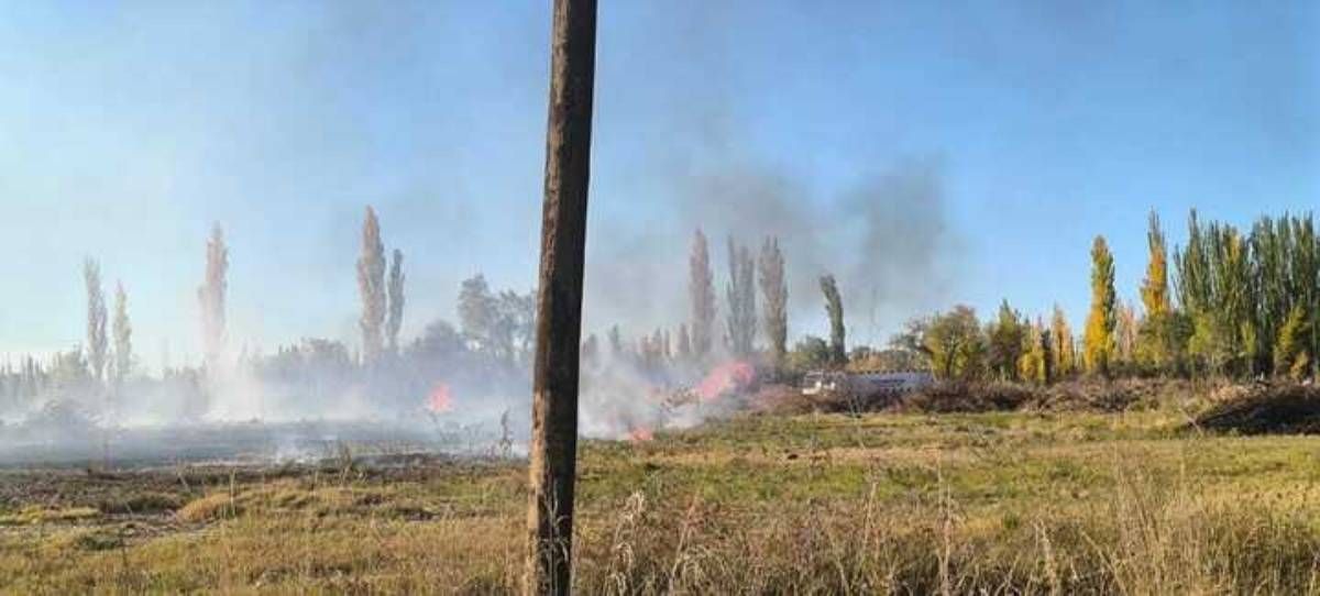 Una imagen del incendio cerca del predio del Ex Banco Nación, en La Esmeralda al fondo.
