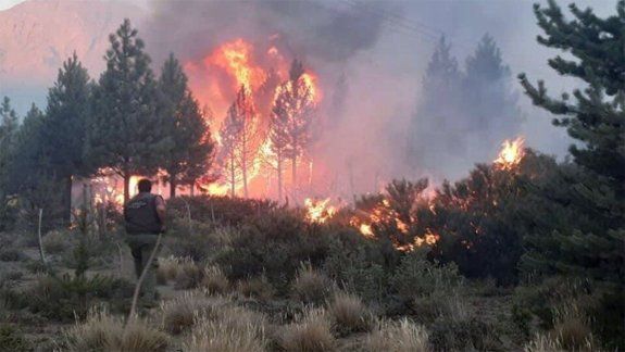 El Bolsón: enviaron a 140 brigadistas a combatir los incendios 