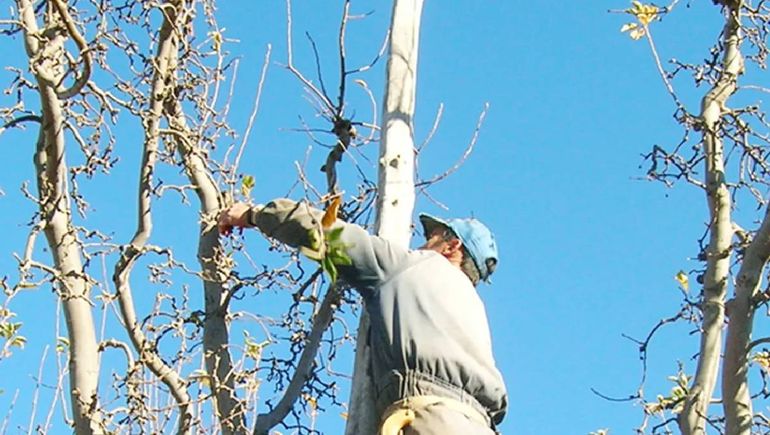 Los trabajadores rurales estaban en negro y lo consideraron un despido indirecto.