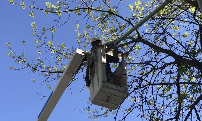 La obra tiene un plazo de ejecución previsto de 75 días corridos.