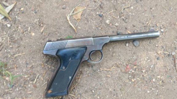 Encontraron un arma y plantas de marihuana en un allanamiento