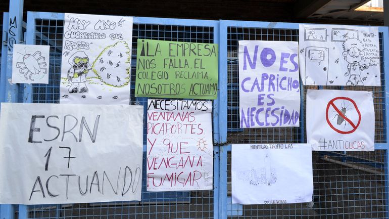 La empresa contratada suspendió en dos oportunidades la fumigación. El Consejo Escolar no acciona con otra empresa especializada.