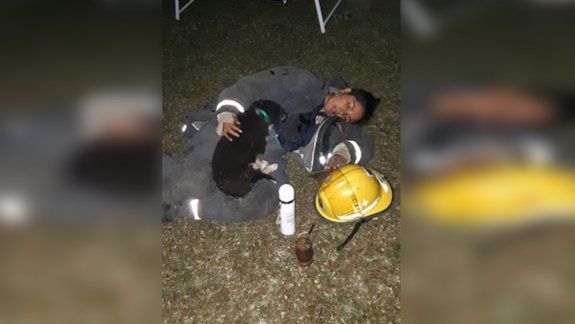 El Bolsón: bombera protegió a un cachorro asustado por el fuego