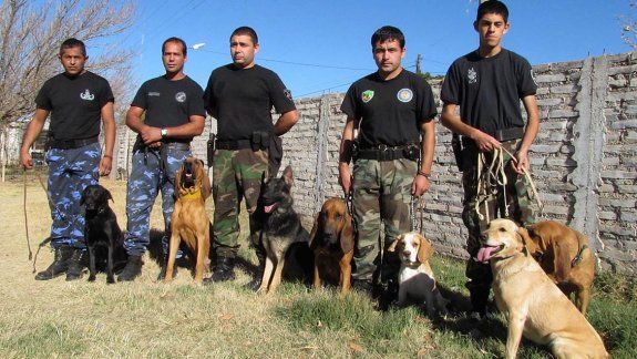 Perros de la Policía ayudan en la investigación por un asesinato 