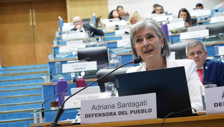 La defensora, Adriana Santagati fue la encargada de dar a conocer los datos.