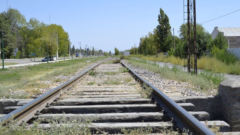 Los legisladores sostienen que la reactivación con el Tren Patagónico, absorbería las pérdidas que hoy tiene la empresa estatal.