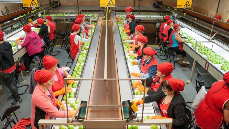 El sindicato es el más numeroso del sector frutícola.