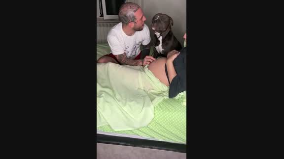 El tierno viral en el que un perro escucha los latidos de un bebé