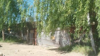 femicidio en allen: asesino a su pareja y luego intento suicidarse