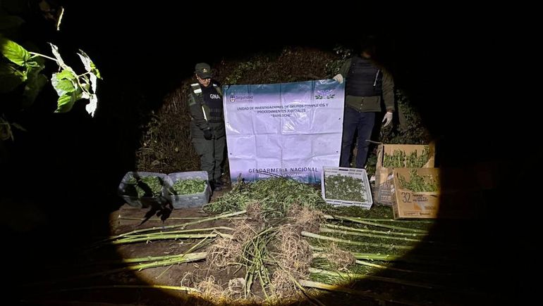 Personal de Gendarmería descubrió 11 kilos de marihuana.