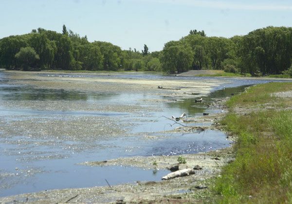 Ecología y arte para celebrar