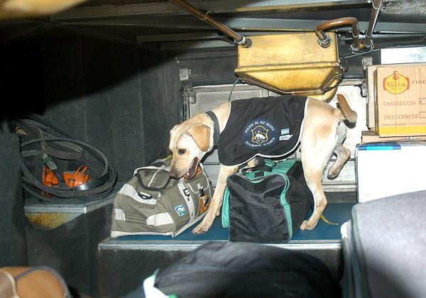 Caminera secuestró camioneta Amarok