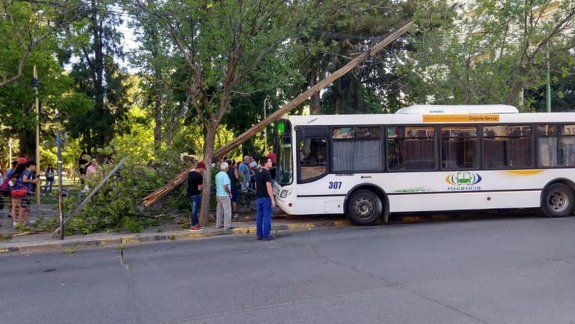 Colectivero se descompensó al volante y no provocó una tragedia de milagro