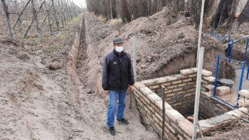 Sigue el financiamiento al sector frutícola Sigue el financiamiento al sector frutícola