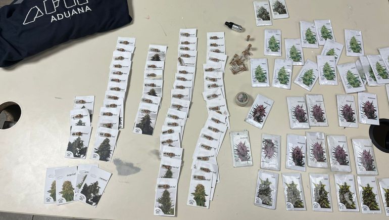 Tour de compras recargado: quiso entrar con 1.600 semillas de marihuana al país
