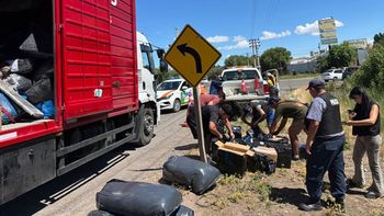 En Cipolletti rige la ordenanza Pirotecnia Cero.