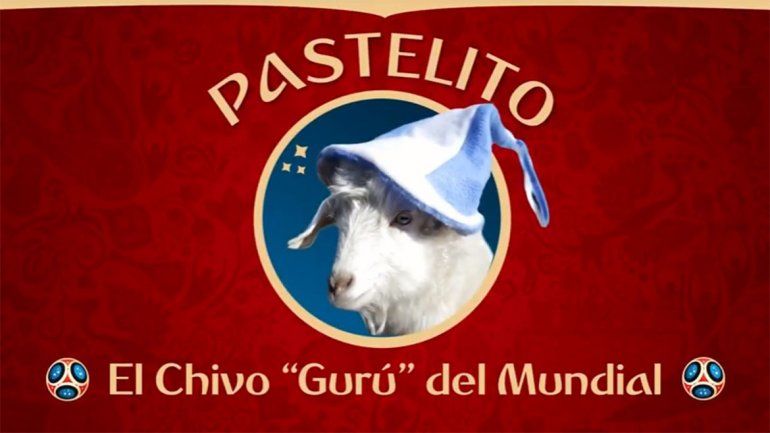 Gurú mundial: Pastelito, el chivo neuquino, pide perdón y mantiene el optimismo por Argentina