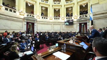 emergencia en discapacidad: el senado dejo sin efecto el veto de javier milei y reactivo la ley