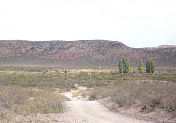 Preocupan los loteos clandestinos en la Margen Sur