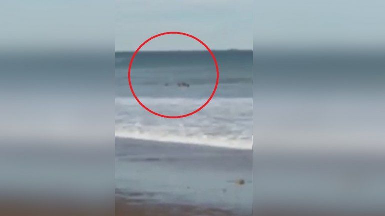 Guardavidas rescataron a dos chicas que fueron arrastradas por el mar