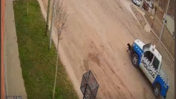 video: un patrullero atropello, mato y dejo tirada a una perrita