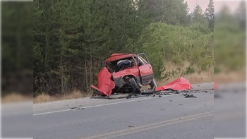 La víctima fatal había decidido autoevacuarse junto a sus perros, tras combatir los incendios en Puerto Patriada. La víctima fatal había decidido autoevacuarse junto a sus perros, tras combatir los incendios en Puerto Patriada.