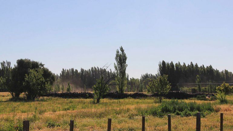 Las chacras ociosas son un problema de difícil resolución.